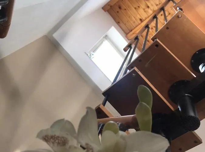 Bed & Breakfast Tesori Di Girgenti 3*