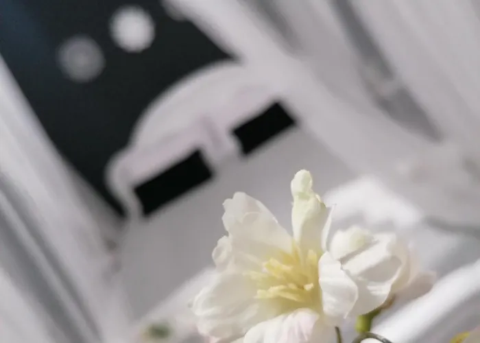 Tesori Di Girgenti Bed & Breakfast