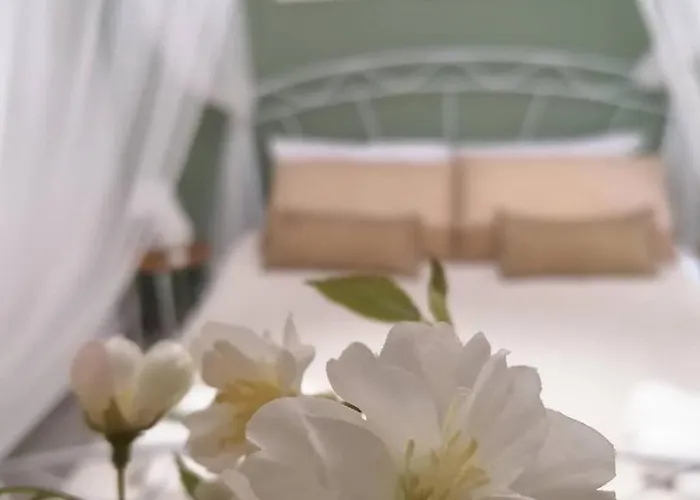 Tesori Di Girgenti Agrigento