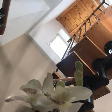 Couette-café Tesori Di Girgenti 3*