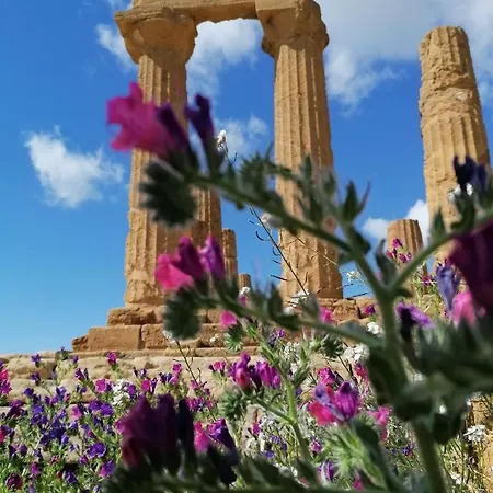 Couette-café Tesori Di Girgenti