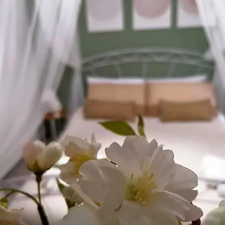 Tesori Di Girgenti Bed & Breakfast