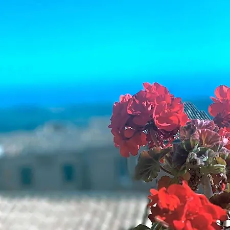 Tesori Di Girgenti 3*